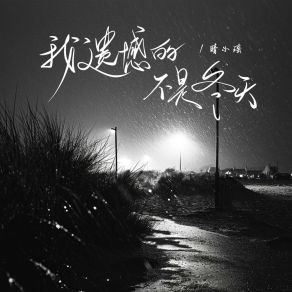 Download track 我遗憾的不是冬天 (和声伴奏版) 晴小瑶