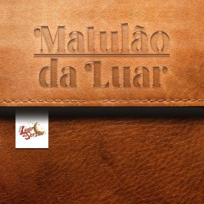 Download track Noites Brasileiras Luar Do Sertão Sobral