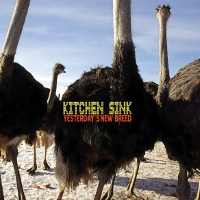 Download track Fusion The Kitchen Sink