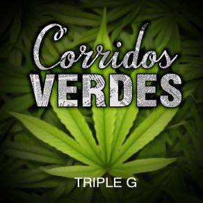 Download track No Anden Hablando (En Vivo) Triple G