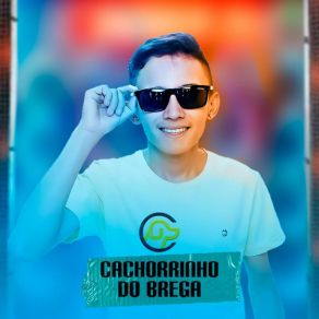 Download track Piseiro Do Dedé Cachorrinho Do Brega