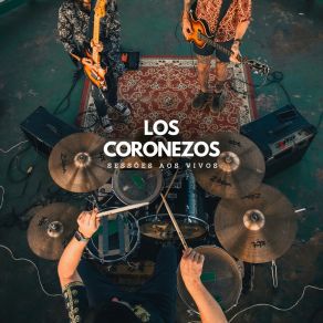 Download track Não Volte Pra Casa Sem Nada Em Seu Peito (Ao Vivo) Los Coronezos