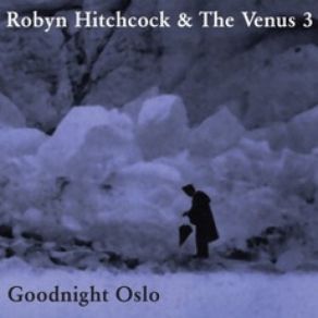 Download track I’m Falling Robyn Hitchcock & The Venus 3