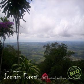 Download track Icerain Forest Jepe Ji