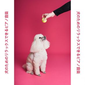 Download track 心を落ち着かせる音楽 RW 愛する犬のための音楽