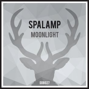 Download track Shadows (Original Mix) Spalamp