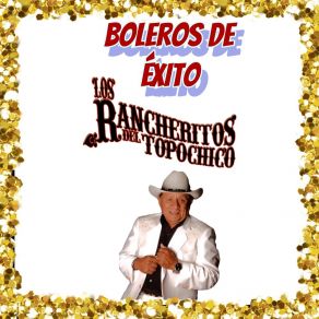 Download track Silla De Ruedas Los Rancheritos Del Topo Chico