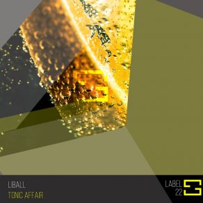 Download track Tonic Affair (Extended Mix) Liball