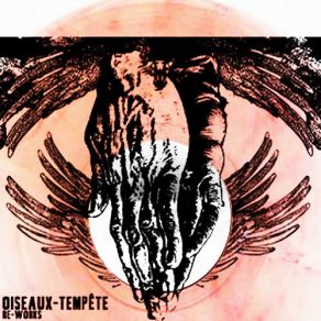 Download track Ouroboros (Harris Underwater From Do Make Say Think Remix) TE, Oiseaux-Tempкte