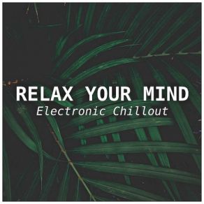 Download track Sommos Aguas Relax Your MindDubdiver