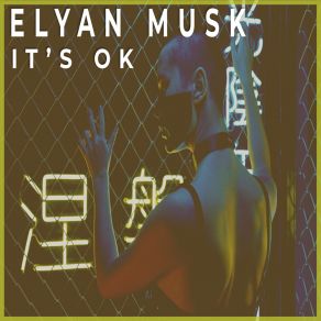 Download track It's Ok (Extended) Elyan Musk