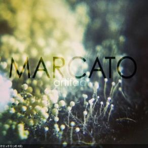 Download track A Life I Once Knew Marcato