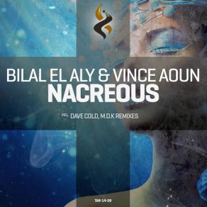 Download track Nacreous (M. D. K Remix) Bilal El Aly, Vince Aoun