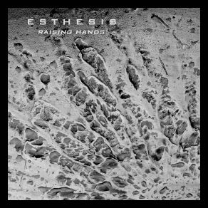 Download track Raising Hands, Pt. 1 (Instrumental) EsthesisΟΡΓΑΝΙΚΟ