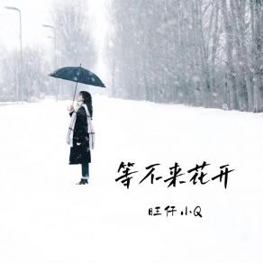 Download track 等不来花开 (女声版) (伴奏) 旺仔小Q