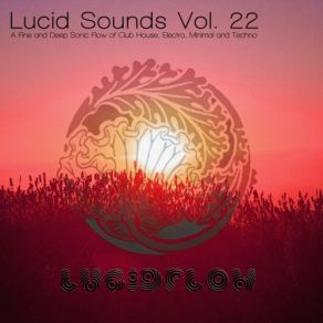 Download track Lucid Sound Twenty Two Continuous DJ Mix Mrs. Robot