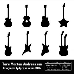 Download track Imaginær Shred 3 Tore Morten Andreassen