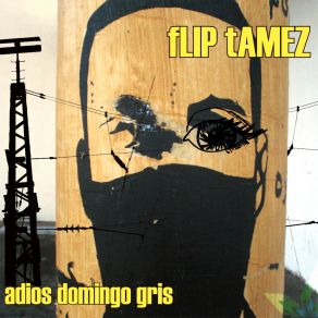 Download track Cruzando Todo El Mar Flip Tamez