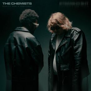 Download track LOST IN THE NIGHT The Chemists