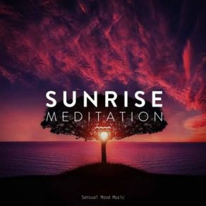 Download track The Sun Goes Down (Original Mix) The Diventa Project