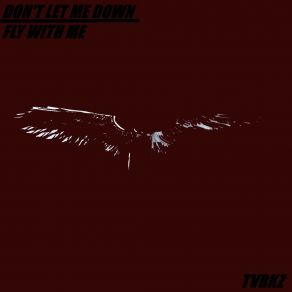 Download track DON'T LET ME DOWN Tvrkz