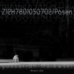 Download track Posen - Intro Yossarian Malewski