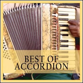 Download track La Marche Des Accordéonistes Lyonnais Philippe Nicola