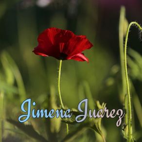 Download track To Anywhere Jimena Juarez