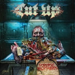 Download track Remember The Flesh Cut - Up