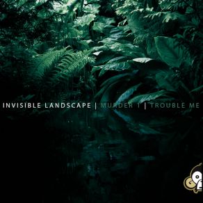 Download track Trouble Me Invisible Landscapes