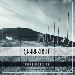 Download track Olmuyor Şehreküstü