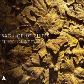 Download track 08 - Cello Suite No. 2 In D Minor, BWV 1008 - II. Allemande Johann Sebastian Bach