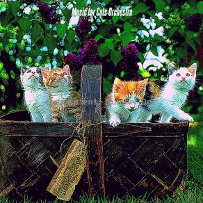 Download track Entertaining (Relaxing Cats) Music For Cats Orchestra