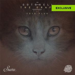 Download track The Draft (Coyu Remix) Gotshell