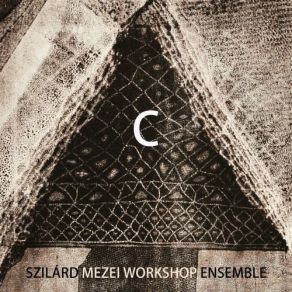 Download track Music For Bass Clarinet, Trombone And Double Bass Szilard Mezei Workshop Ensemble