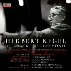 Download track Triple Concerto For Violin, Cello & Piano In C Major, Op. 56: I. Allegro Dresdner Philharmonie, Herbert KegelChristian Funke