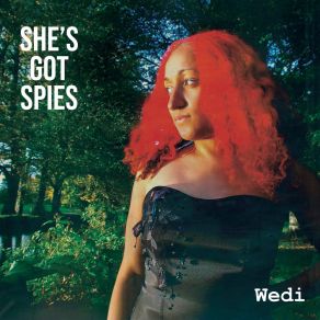 Download track Methu Meddwl She's Got Spies