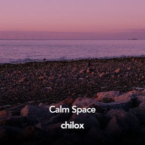 Download track Calm Space, Pt. 6 Chilox