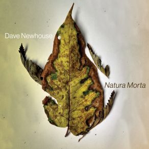 Download track Natura Morta Dave Newhouse