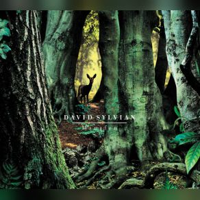 Download track The Rabbit Skinner David Sylvian