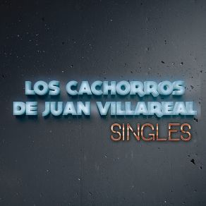 Download track Sabiendo Quién Era Yo Los Cachorros De Juan Villarreal