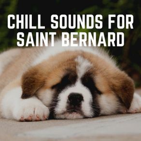 Download track Relaxed Pug Calm Dog Music