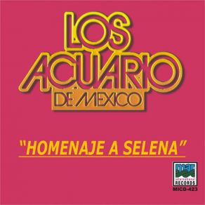 Download track Homenaje A Selena Los Acuario De Mexico