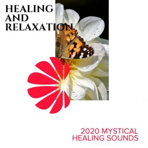 Download track Thunders And Meditation Spa Music Paradise