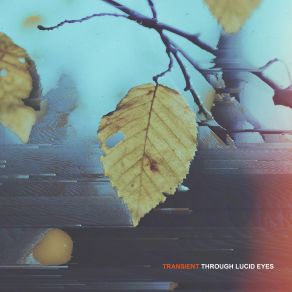 Download track Fleeting Moments Through Lucid Eyes