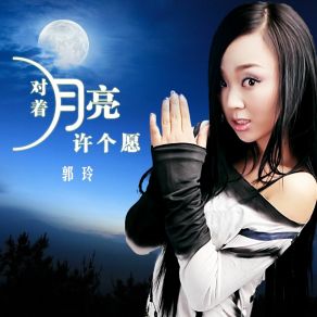 Download track 对着月亮许个愿 (DJ何鹏版伴奏) DJ何鹏