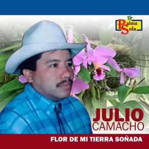 Download track La Mujer No Pierde El Mérito Julio Camacho