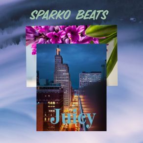 Download track Teleport Sparko Beats