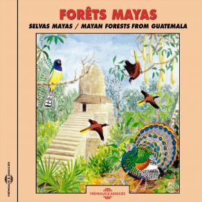 Download track Ortalide Chacamel (Plain Chachalaca) Frémeaux Nature