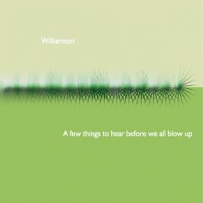 Download track Time You'Ll Never Get Back Robin Williamson